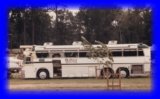 thumbs/Blackjack Bus2.jpg